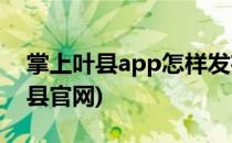 掌上叶县app怎样发布论坛公告建议(掌上叶县官网)