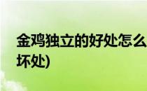 金鸡独立的好处怎么做呢(金鸡独立的好处和坏处)