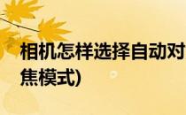 相机怎样选择自动对焦(相机怎样选择自动对焦模式)
