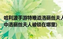 哈利波手游特难道洛丽丝夫人又被锁在里面了攻略(哈利波特中洛丽丝夫人被锁在哪里)