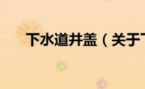 下水道井盖（关于下水道井盖的介绍）