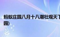 蚂蚁庄园八月十八潮壮观天下无答案(名句八月十八潮蚂蚁庄园)
