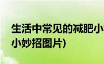 生活中常见的减肥小妙招(生活中常见的减肥小妙招图片)