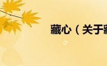藏心（关于藏心的介绍）