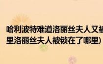 哈利波特难道洛丽丝夫人又被锁在里面了碎片在哪(哈利波特里洛丽丝夫人被锁在了哪里)
