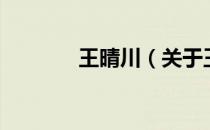 王晴川（关于王晴川的介绍）