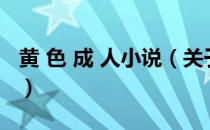 黄 色 成 人小说（关于黄 色 成 人小说的介绍）