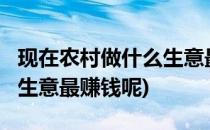 现在农村做什么生意最赚钱?(现在农村做什么生意最赚钱呢)