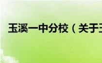 玉溪一中分校（关于玉溪一中分校的介绍）