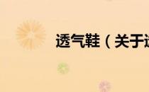 透气鞋（关于透气鞋的介绍）