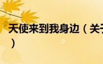 天使来到我身边（关于天使来到我身边的介绍）