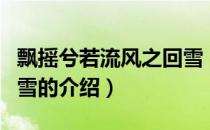 飘摇兮若流风之回雪（关于飘摇兮若流风之回雪的介绍）