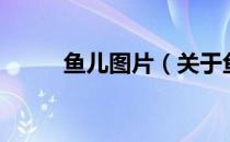鱼儿图片（关于鱼儿图片的介绍）