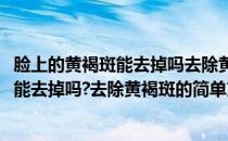 脸上的黄褐斑能去掉吗去除黄褐斑的简单方法(脸上的黄褐斑能去掉吗?去除黄褐斑的简单方法视频)