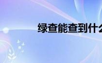绿查能查到什么(绿查怎么查)