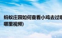 蚂蚁庄园如何查看小鸡去过哪里(蚂蚁庄园如何查看小鸡去过哪里视频)