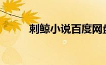 刺鲸小说百度网盘（刺鲸百度云）
