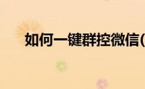 如何一键群控微信(群控微信号怎么弄)