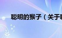 聪明的猴子（关于聪明的猴子的介绍）