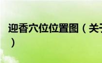 迎香穴位位置图（关于迎香穴位位置图的介绍）