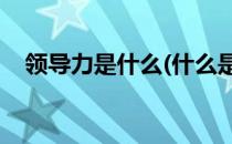 领导力是什么(什么是领导力 领导力是指)