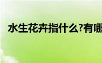 水生花卉指什么?有哪些类型?（水生花卉）