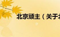 北京顽主（关于北京顽主的介绍）