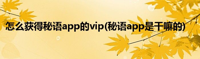 怎么获得秘语app的vip(秘语app是干嘛的)