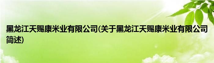 黑龙江天赐康米业有限公司(关于黑龙江天赐康米业有限公司简述)