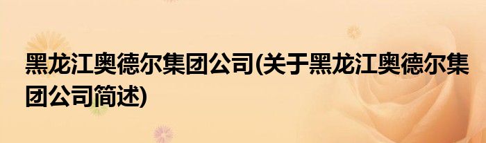 黑龙江奥德尔集团公司(关于黑龙江奥德尔集团公司简述)