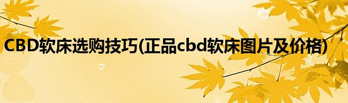 CBD软床选购技巧(正品cbd软床图片及价格)