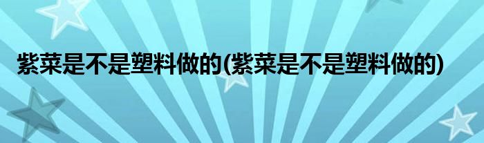 紫菜是不是塑料做的(紫菜是不是塑料做的)