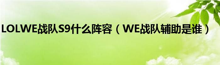 LOLWE战队S9什么阵容（WE战队辅助是谁）