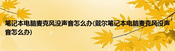 笔记本电脑麦克风没声音怎么办(戴尔笔记本电脑麦克风没声音怎么办)