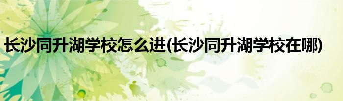 长沙同升湖学校怎么进(长沙同升湖学校在哪)