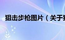 狙击步枪图片（关于狙击步枪图片的介绍）