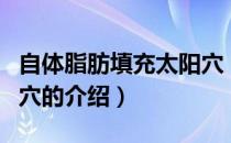 自体脂肪填充太阳穴（关于自体脂肪填充太阳穴的介绍）