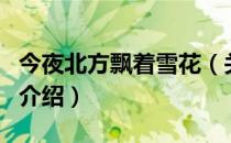 今夜北方飘着雪花（关于今夜北方飘着雪花的介绍）