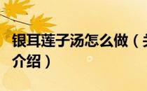 银耳莲子汤怎么做（关于银耳莲子汤怎么做的介绍）