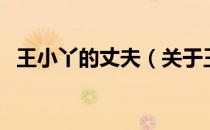 王小丫的丈夫（关于王小丫的丈夫的介绍）