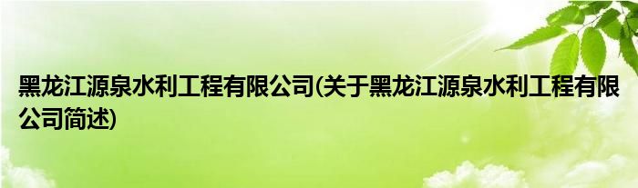 黑龙江源泉水利工程有限公司(关于黑龙江源泉水利工程有限公司简述)