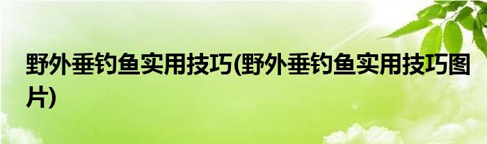 野外垂钓鱼实用技巧(野外垂钓鱼实用技巧图片)