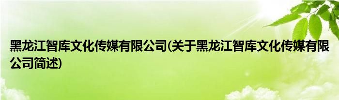 黑龙江智库文化传媒有限公司(关于黑龙江智库文化传媒有限公司简述)