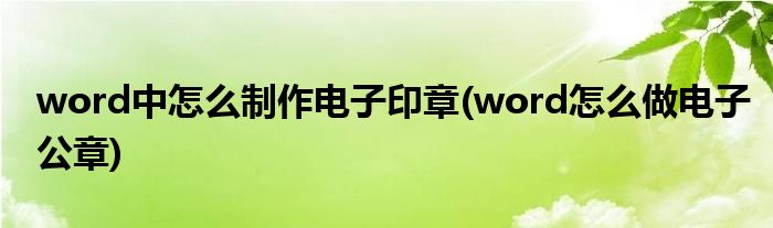 word中怎么制作电子印章(word怎么做电子公章)