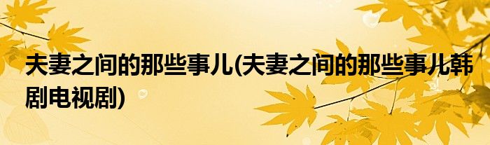 夫妻之间的那些事儿(夫妻之间的那些事儿韩剧电视剧)