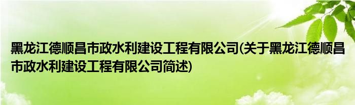 黑龙江德顺昌市政水利建设工程有限公司(关于黑龙江德顺昌市政水利建设工程有限公司简述)