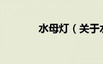 水母灯（关于水母灯的介绍）
