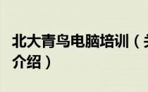 北大青鸟电脑培训（关于北大青鸟电脑培训的介绍）