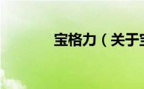 宝格力（关于宝格力的介绍）