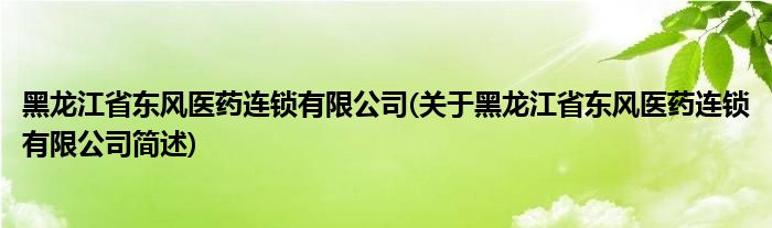 黑龙江省东风医药连锁有限公司(关于黑龙江省东风医药连锁有限公司简述)